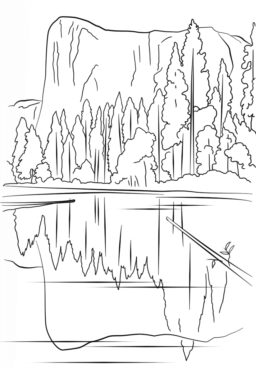 丛林和大山