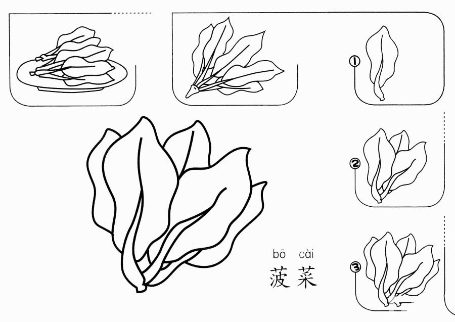 菠菜怎么画