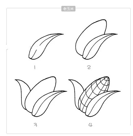 老玉米简笔画教程