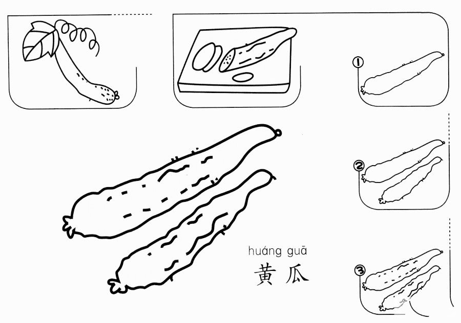 黄瓜怎么画