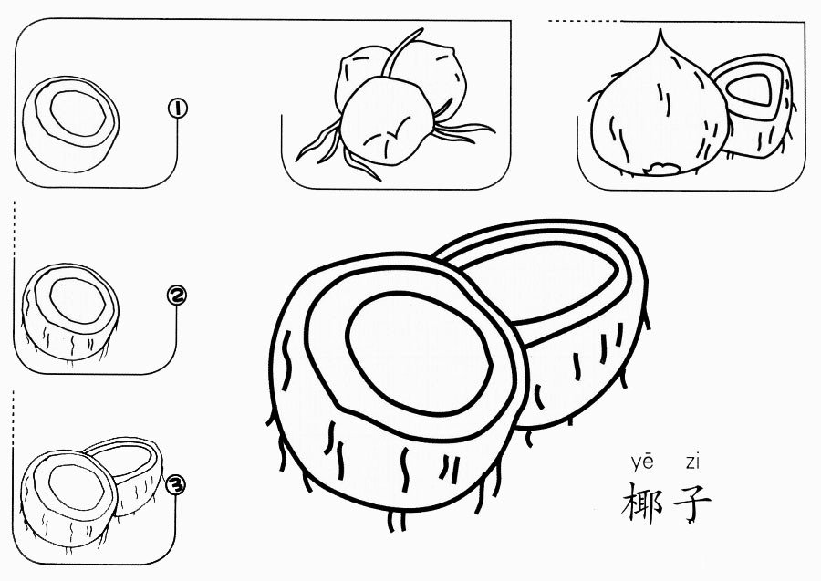 美味的椰子怎么画