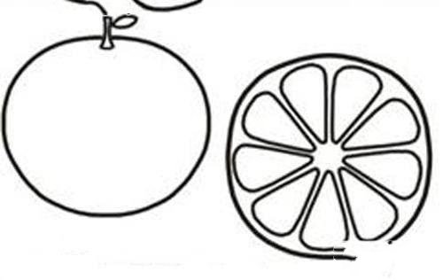 橙子简笔画图片